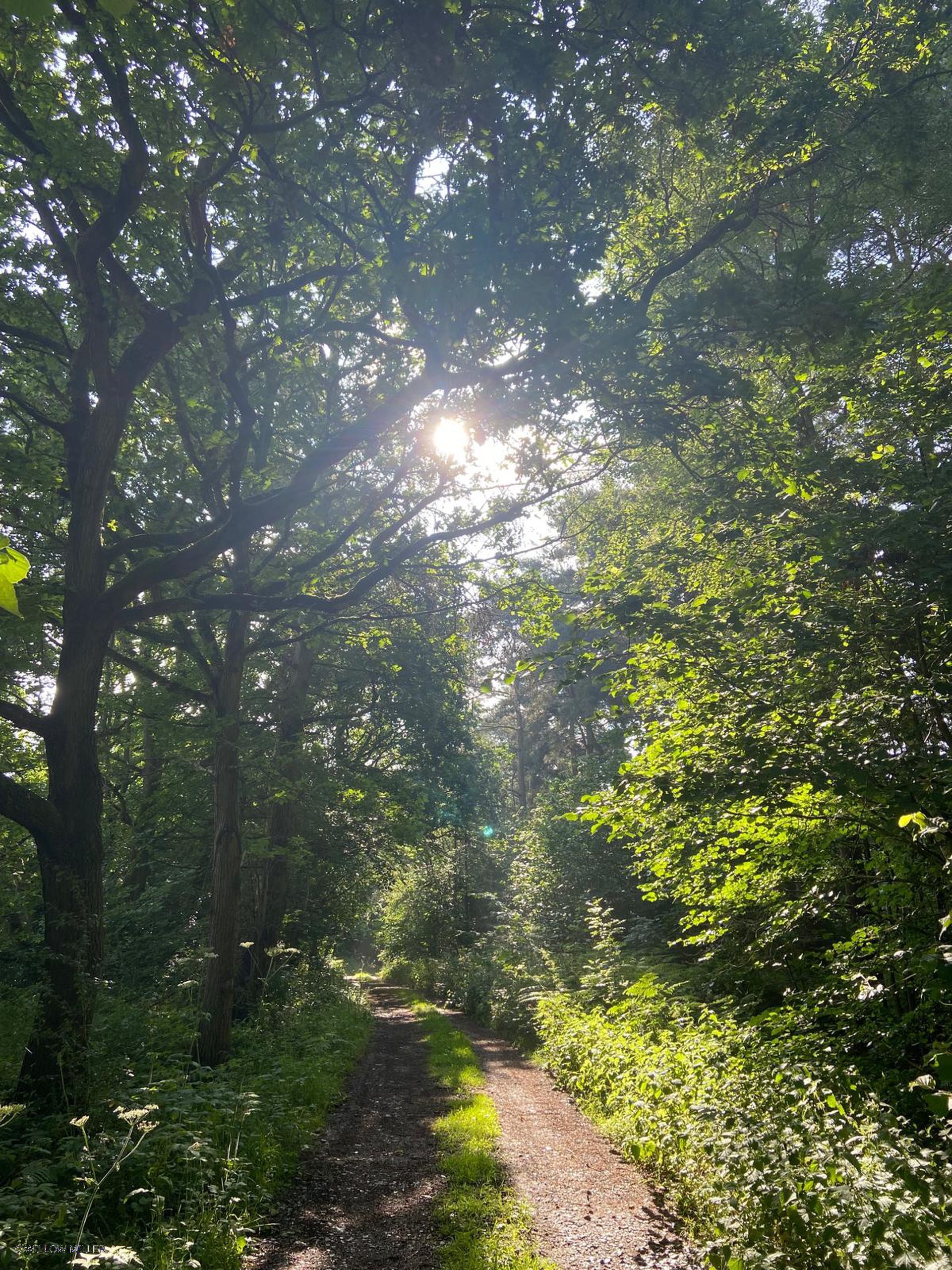 Landscapes photograph 14