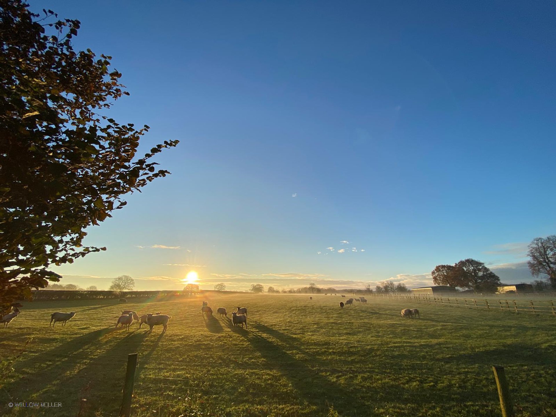 Landscapes photograph 5