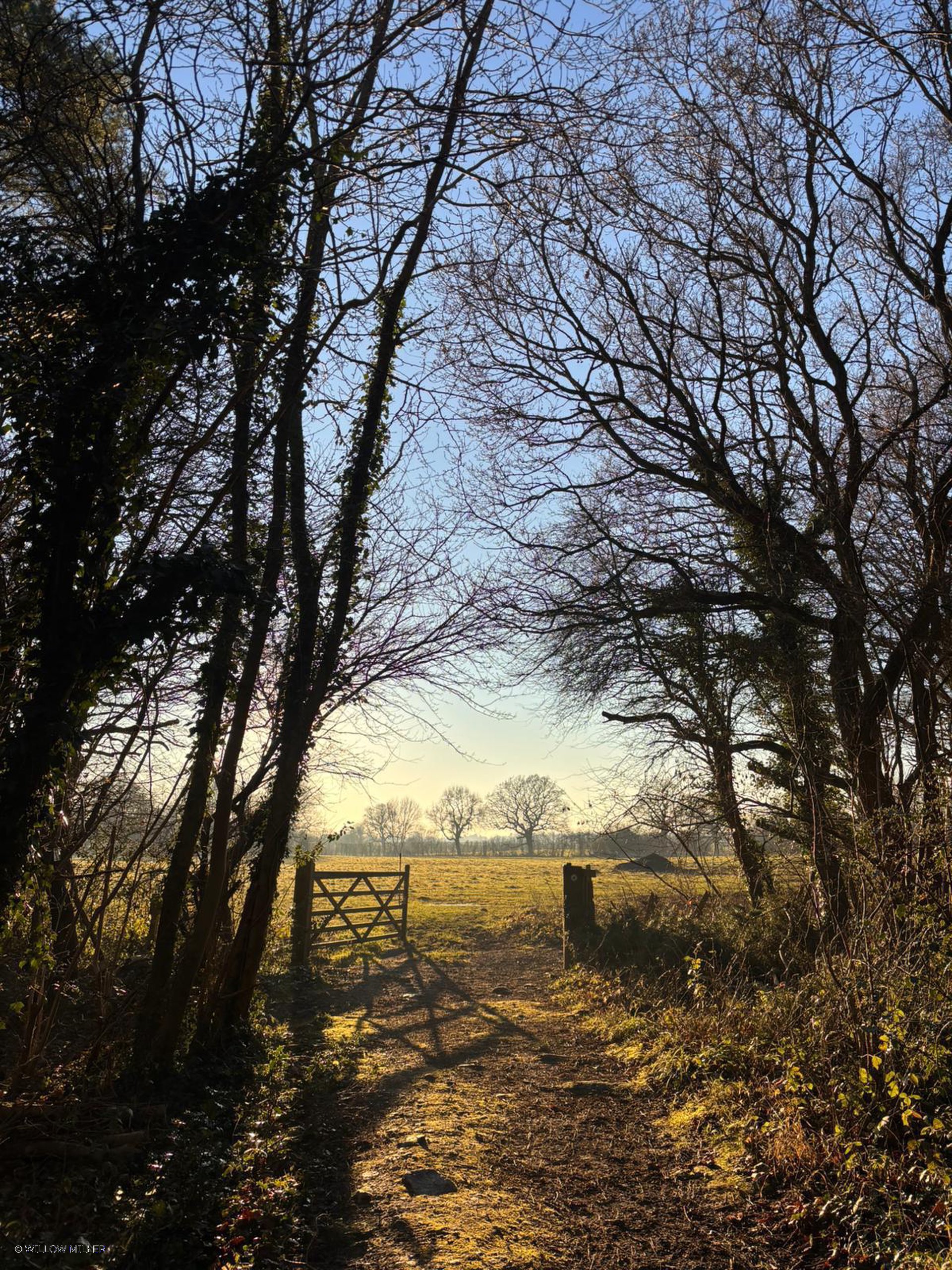 Landscapes photograph 13