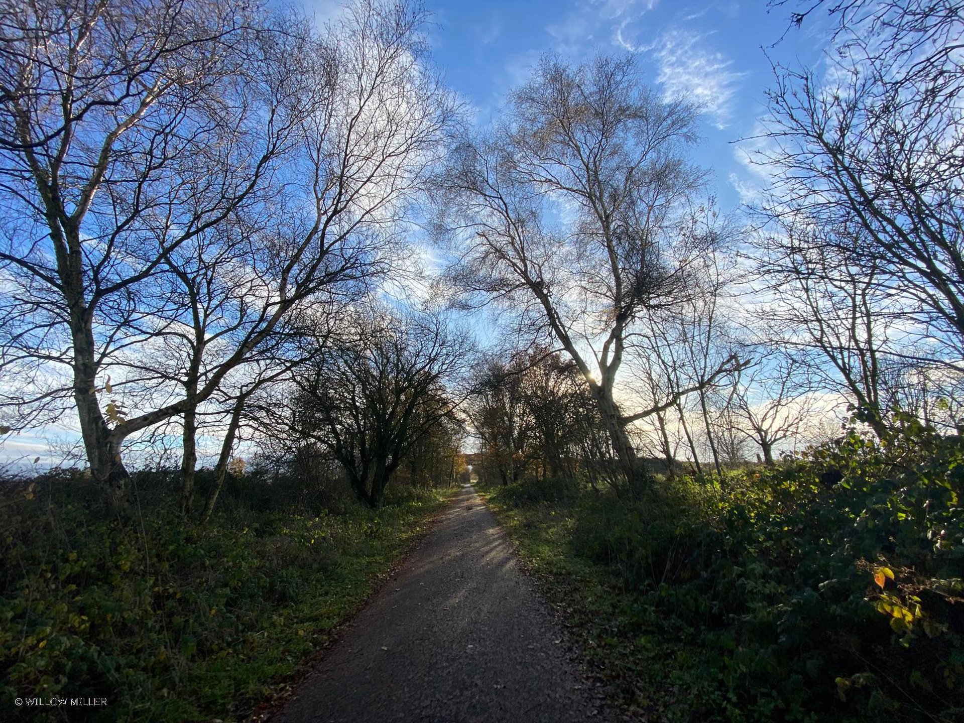 Landscapes photograph 11