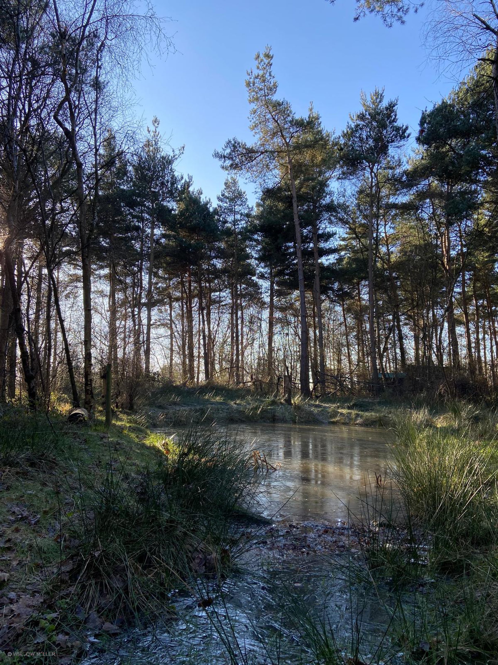 Landscapes photograph 19