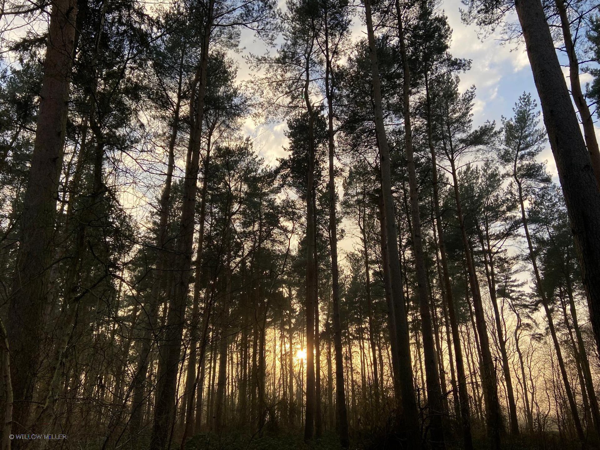 Landscapes photograph 20