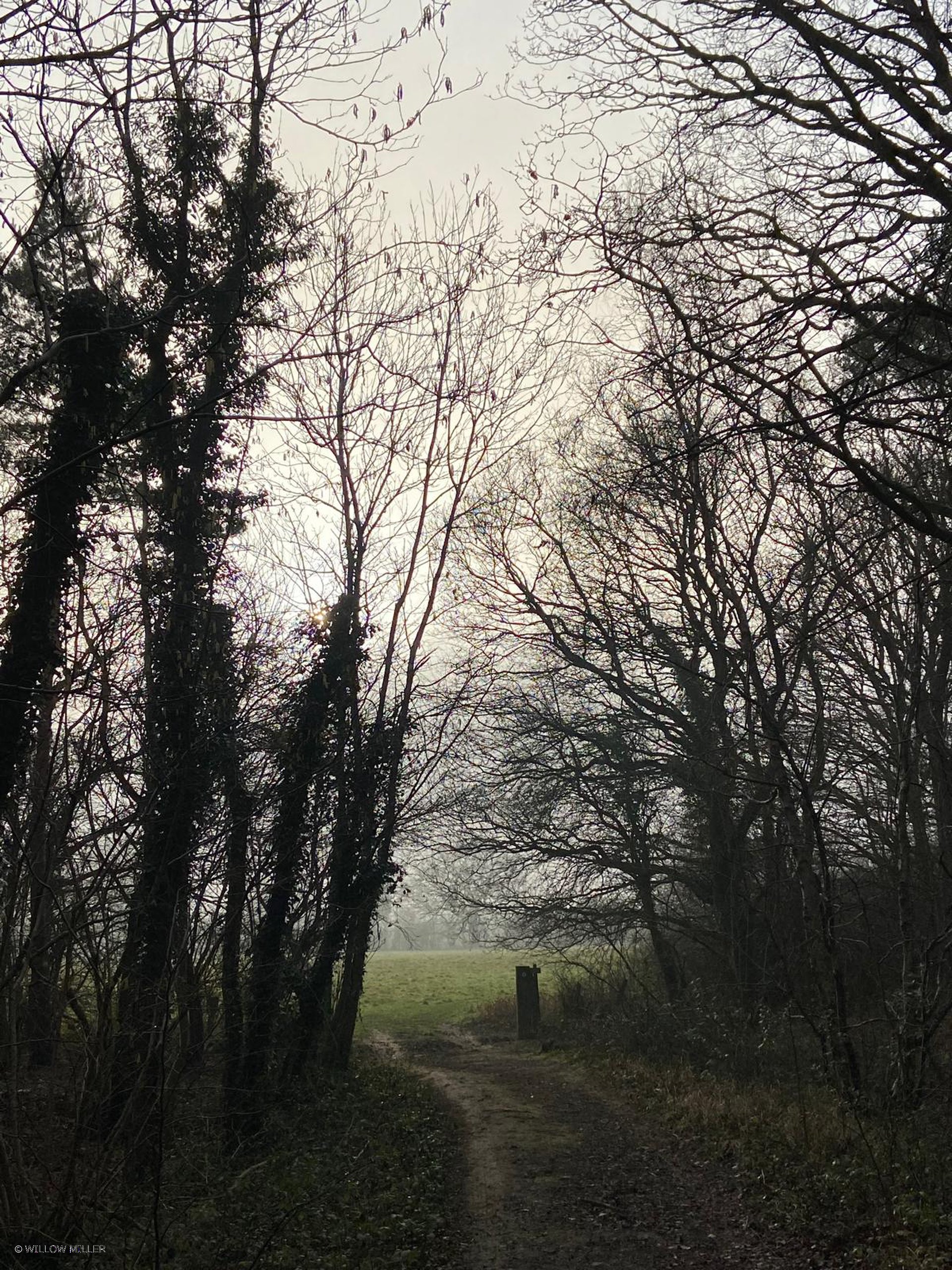 Landscapes photograph 12