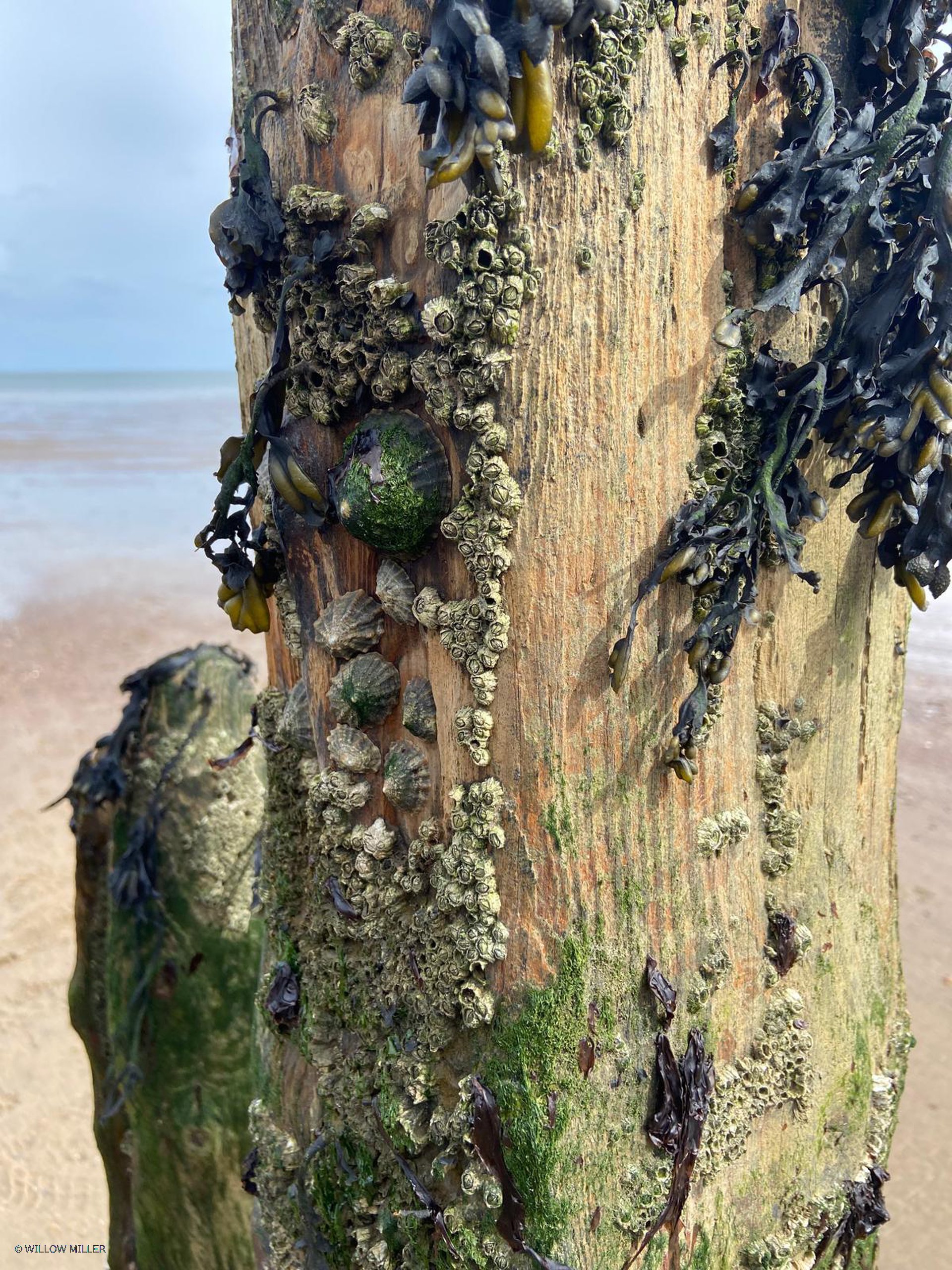 Small details photograph 20