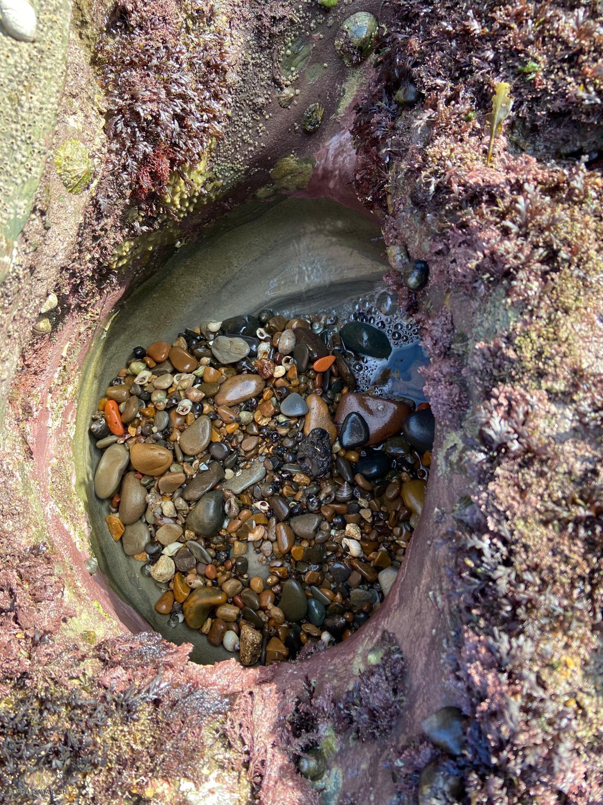 Small details photograph 21